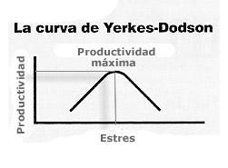 coaching, autoconocimiento crecimiento personal el estres ansiedad sintomas productividad